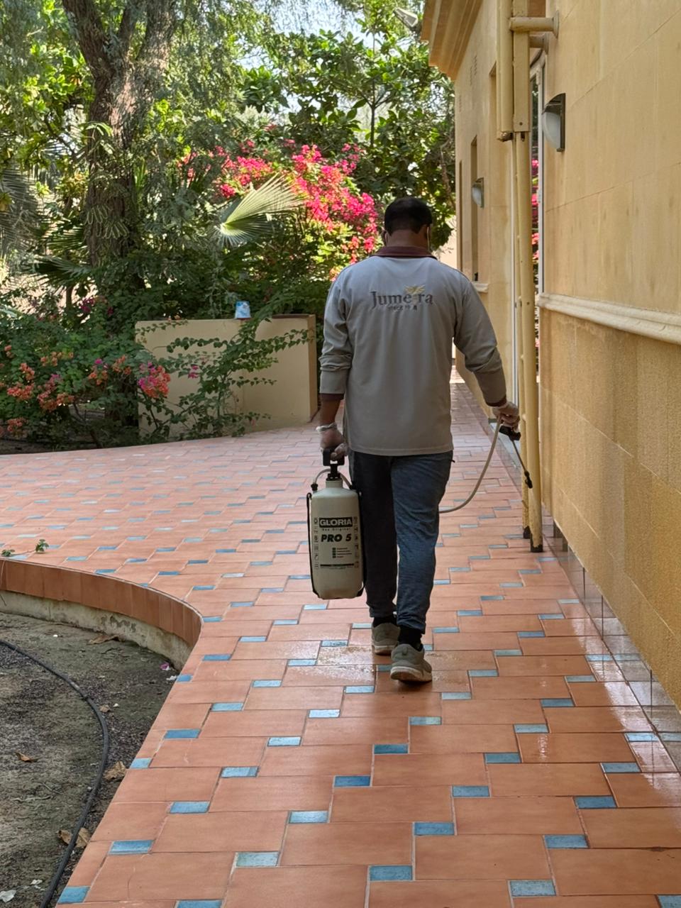 WhatsApp Image 2025-11-11 at 19.05.20_4d8c142f