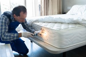 Bed bug treatment in Dubai – professional mattress inspection