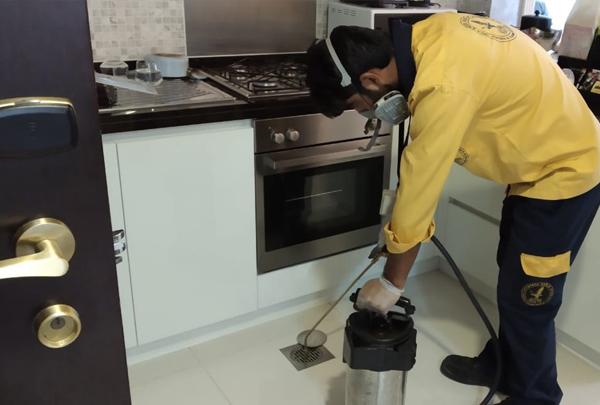 Bed bug treatment, cockroach control, and pest control services in Dubai