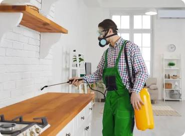 Municipality-approved treatments safely applied inside residential properties
