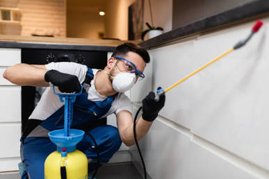 Certified local experts handle targeted property treatments across Dubai