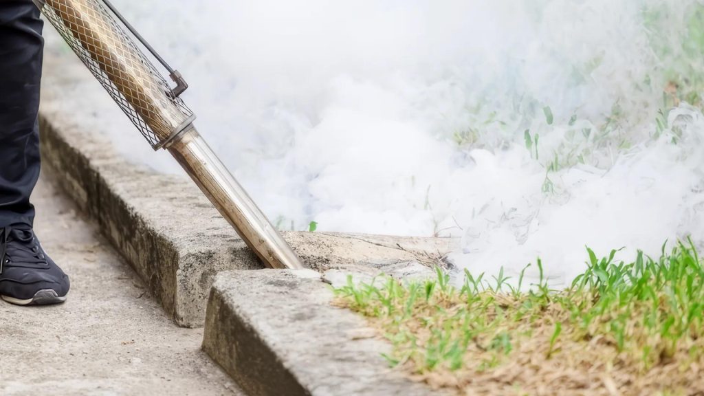 Professional mosquito fogging and spray treatment
