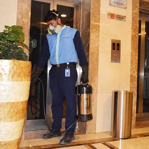 Complete pest management services in Dubai
