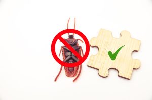 Emergency pest control Dubai technician responding to a pest infestation