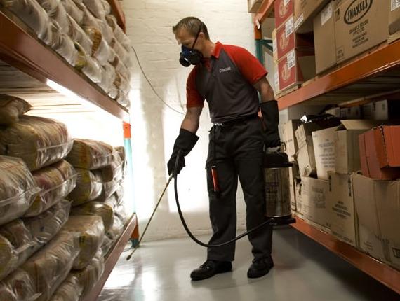 Comprehensive pest control services including termites, cockroaches, and bed bugs