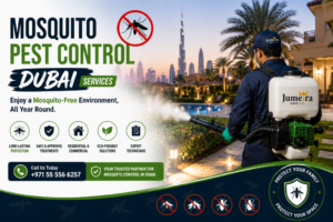 Read more about the article Mosquito Pest Control Dubai: Protect Your Home & Business from Mosquito Infestations