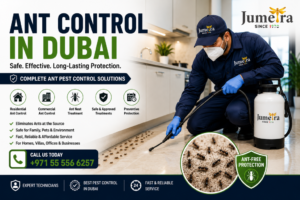Read more about the article Ant Control in Dubai: Effective Solutions for Homes, Villas & Businesses