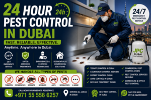 Read more about the article 24 Hour Pest Control in Dubai: Fast, Reliable Emergency Pest Control in Dubai