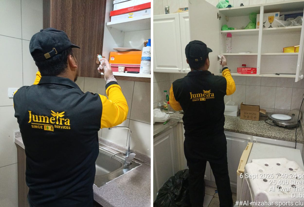 Cockroach Pest Control Dubai